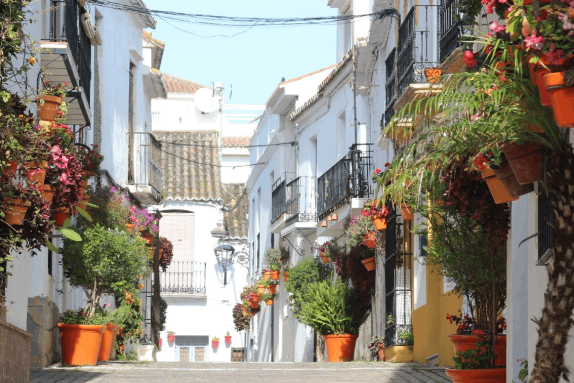 The Spanish Estate Agent SL