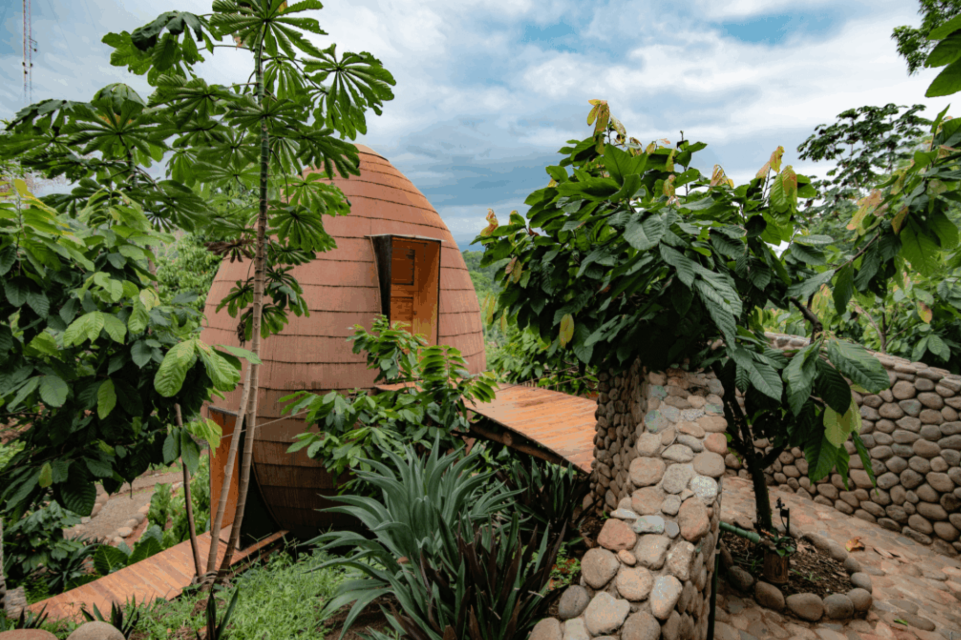 WLCC Welcomes Regenerative Architecture Practice