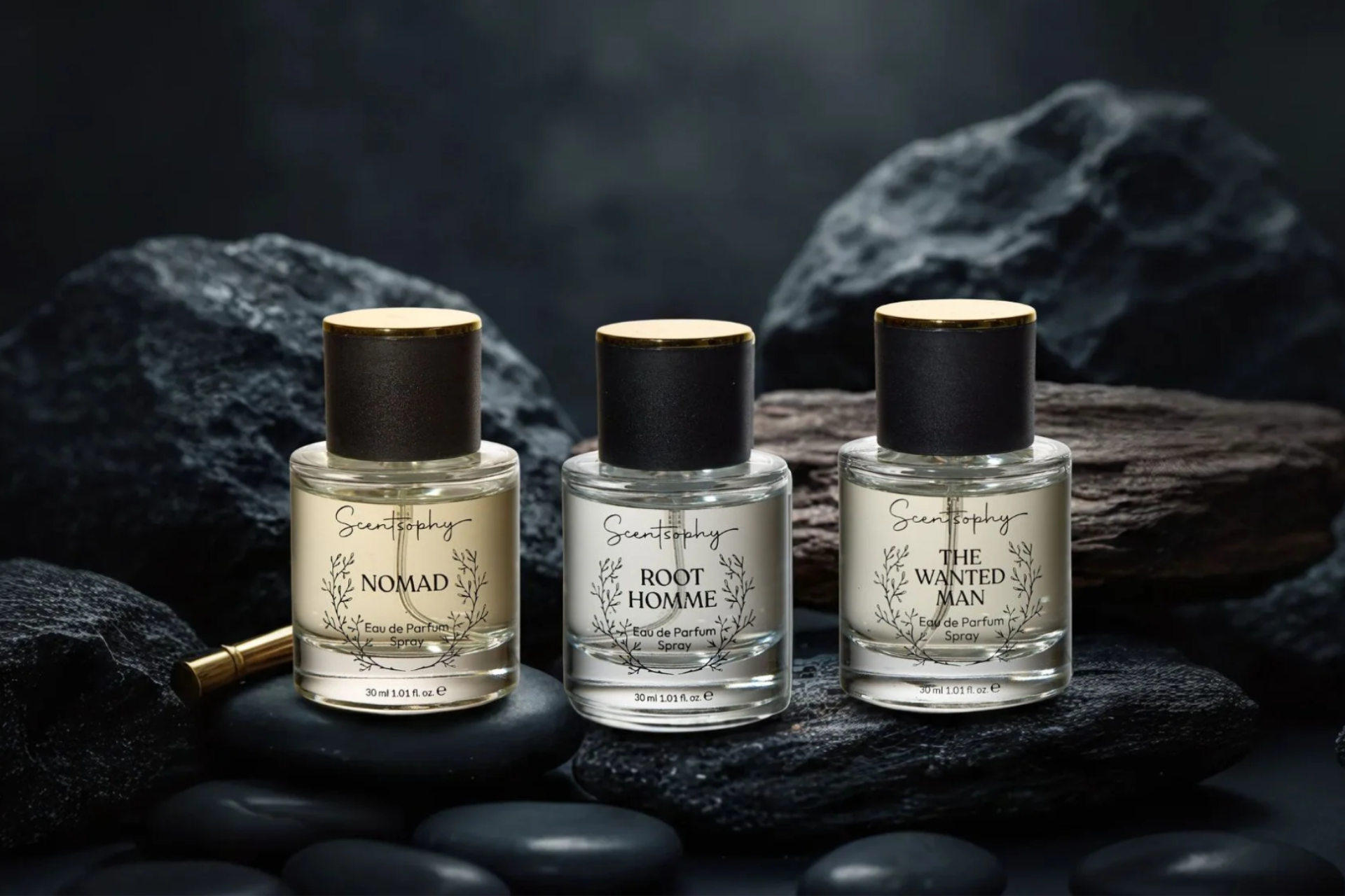 Where Emotion Shapes Modern Perfumery