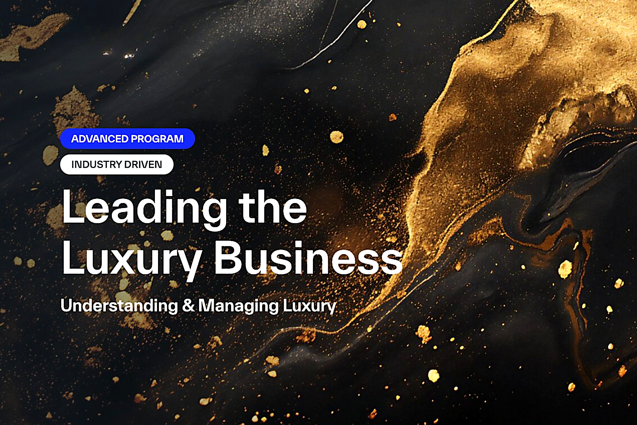 Leading Luxury Forward Through Education and Expertise